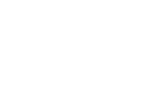 Bluebird Care Brand